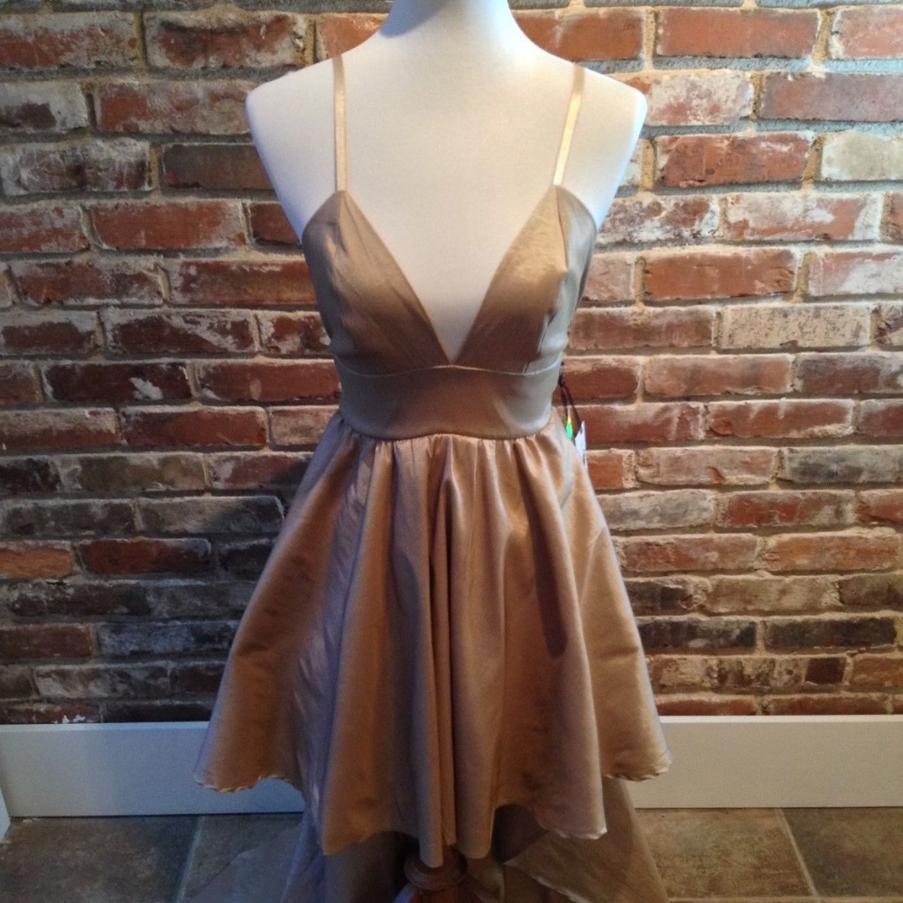 Iris Beige Color Dress (Brand New w tags, Size S)